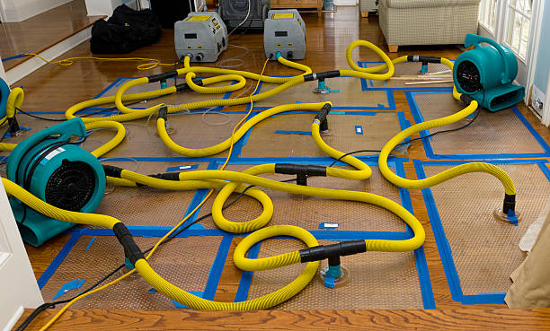 Professional Sewage Cleanup technician working in Clarksburg, MO